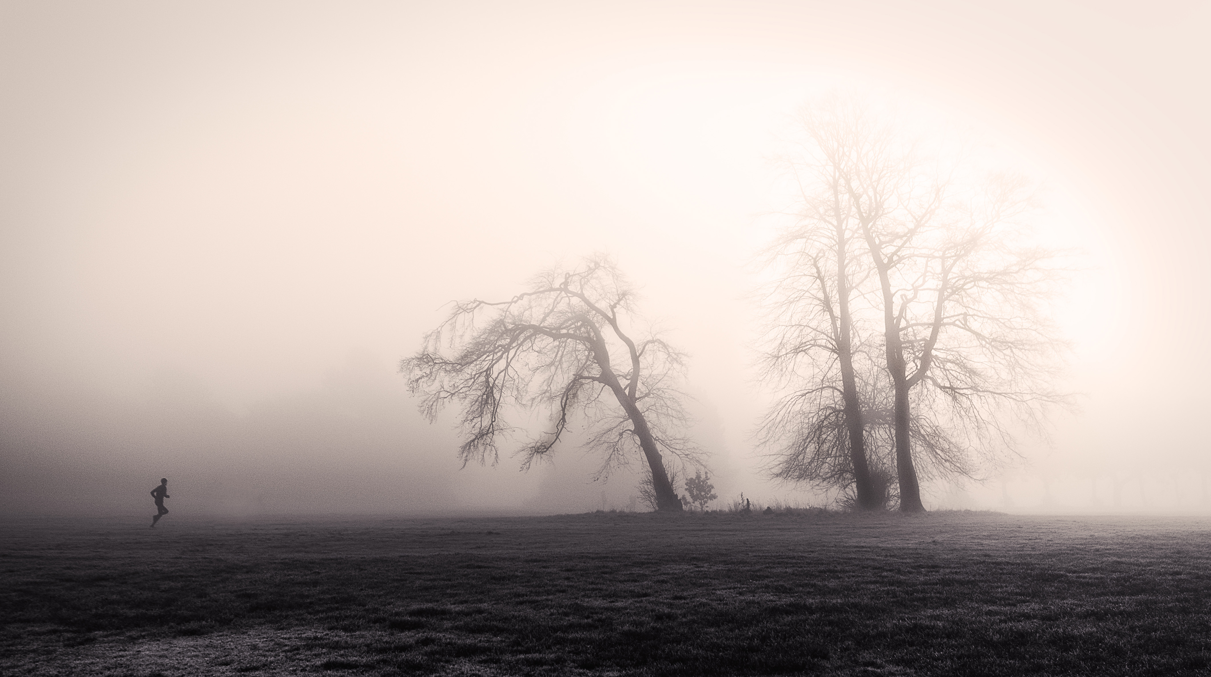 runner trees-s